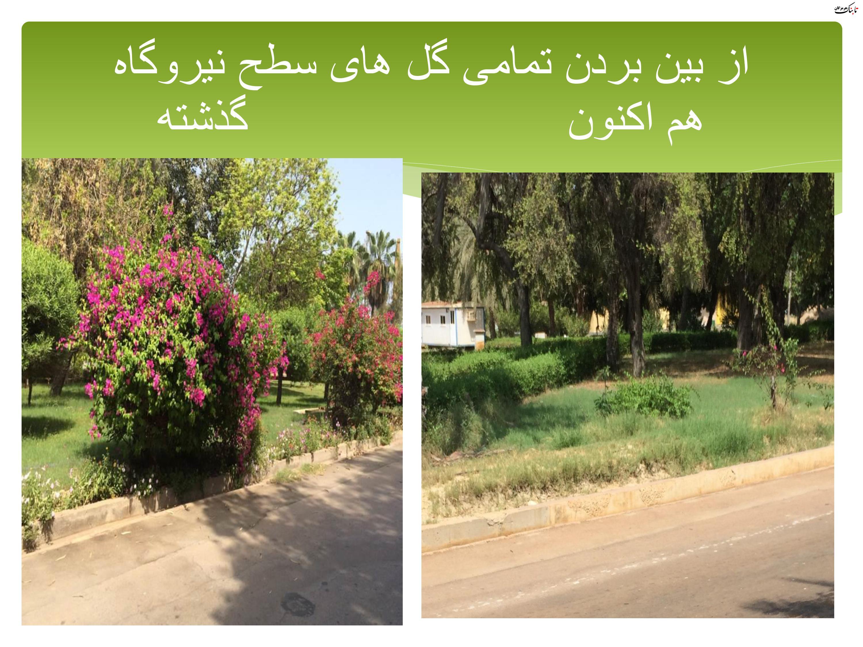 حکایت نابودی محیط زیست (فضای سبز و زیست بوم) توسط نیروگاه بندرعباس حکایت نابودی محیط زیست (فضای سبز و زیست بوم) توسط نیروگاه بندرعباس