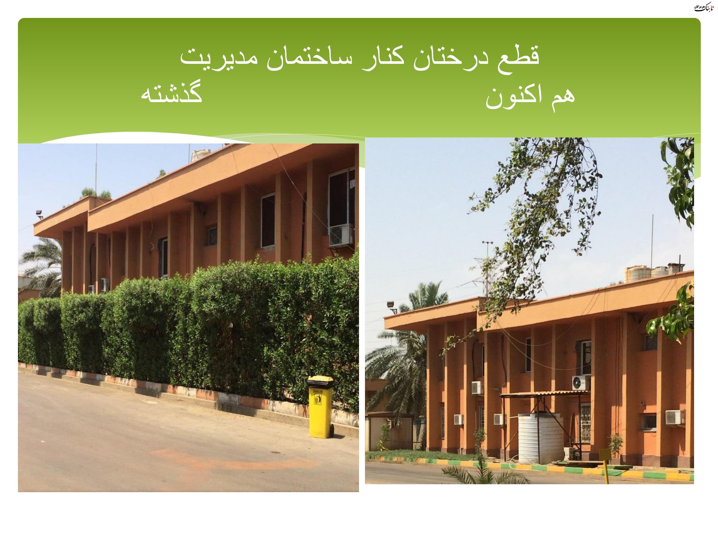 حکایت نابودی محیط زیست (فضای سبز و زیست بوم) توسط نیروگاه بندرعباس حکایت نابودی محیط زیست (فضای سبز و زیست بوم) توسط نیروگاه بندرعباس