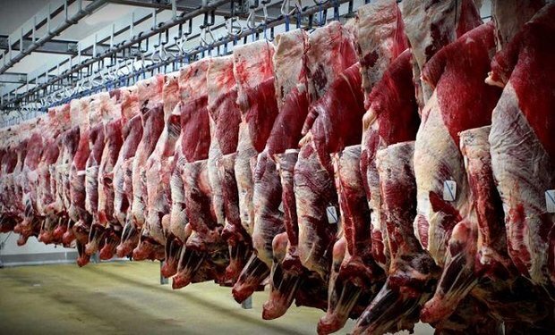 صادرات ۵۷۴ تن فرآورده خام دامی از قزوین به ۱۰ کشور صادرات ۵۷۴ تن فرآورده خام دامی از قزوین به ۱۰ کشور