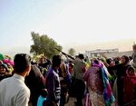 تیراندازی مراسم عروسی منجر به پلمب چهار تالار در لرستان شد