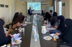 جزیره كيش نخستین منطقه آزاد كشور در اجرای طرح توسعه مشاغل خانگى