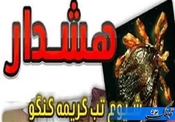 ثبت دومین مورد ابتلا به تب کریمه کنگو در استان یزد
